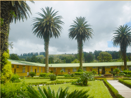 Reserva alojamiento para el módulo presencial en Costa Rica